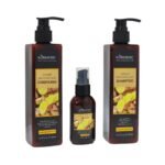 SHAMPOO PARA EL CABELLO EN SET CONTRA LA CAIDA DEL PELO DE JENGIBRE, SHAMPOO 300ML, ACONDICIONADOR 300ML, SUERO CAPILAR 50ML